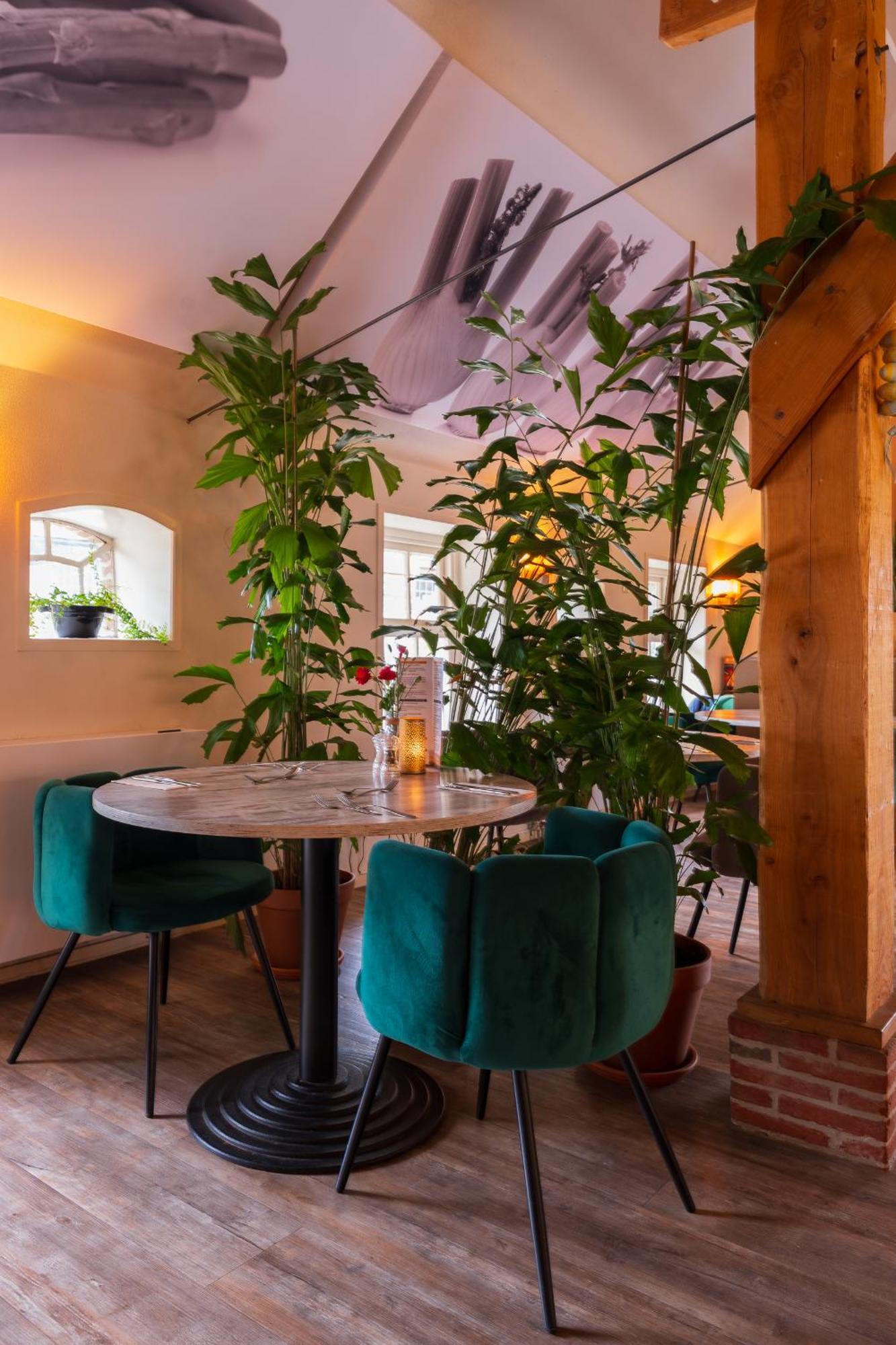Landhotel Diever Zewnętrze zdjęcie